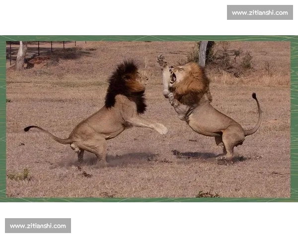 从全球格局透视美利坚雄狮优势与力量重塑世界秩序的当代深层逻辑